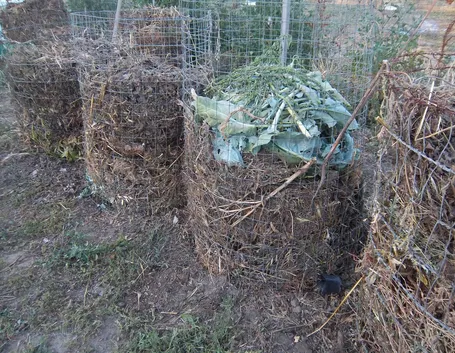 compostaggio