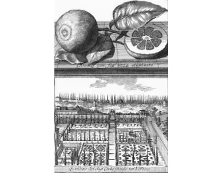 Giardino Giusti Verona