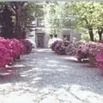 piante