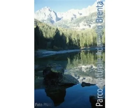 Parco