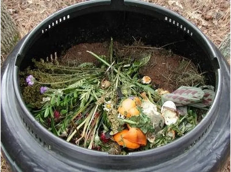foto composter