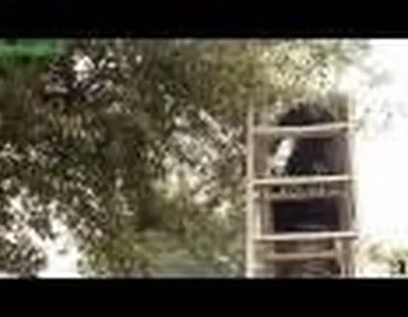 Coltivazione piante
