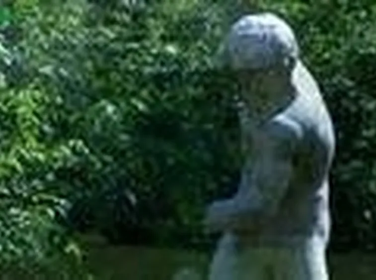 Introduzione alla progettazione del giardino