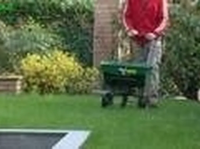 Manutenzione del giardino