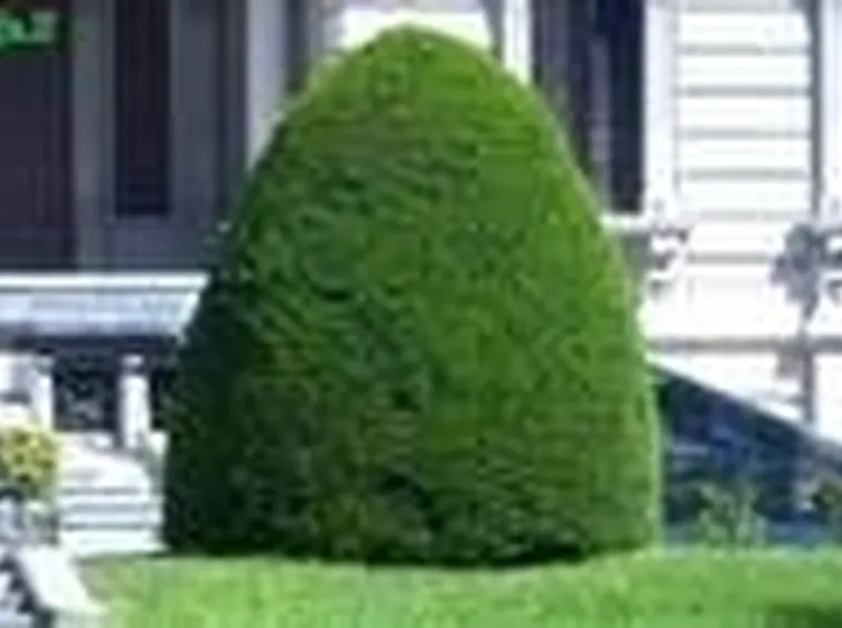 stili di giardinaggio