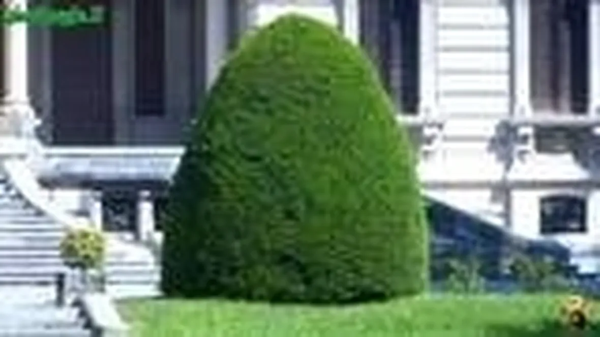 stili di giardinaggio