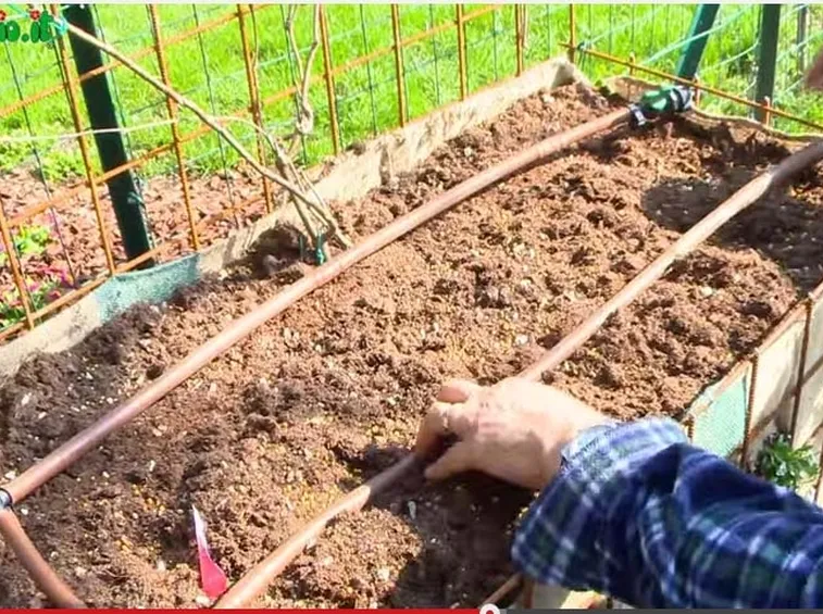 Irrigazione giardino verticale