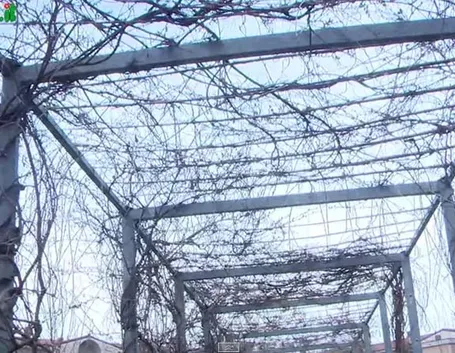 Posa struttura giardino verticale