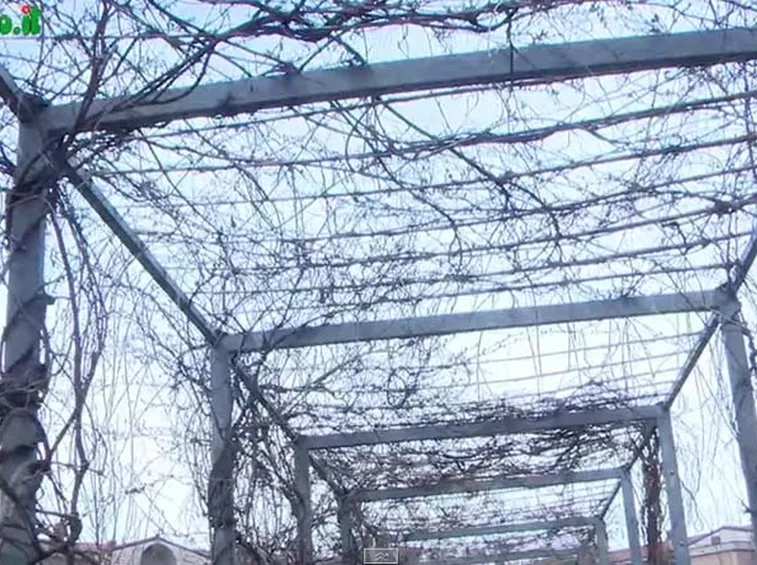 Posa struttura giardino verticale