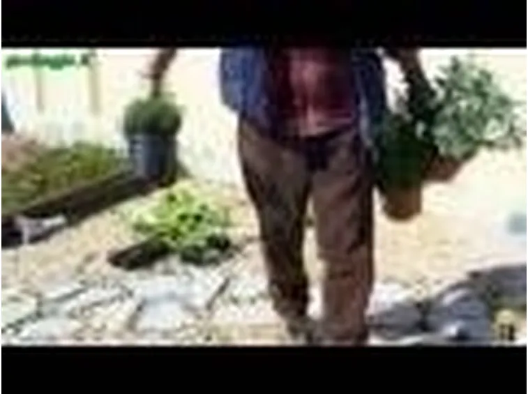 Orto in terrazzo: contenitori e riempimento