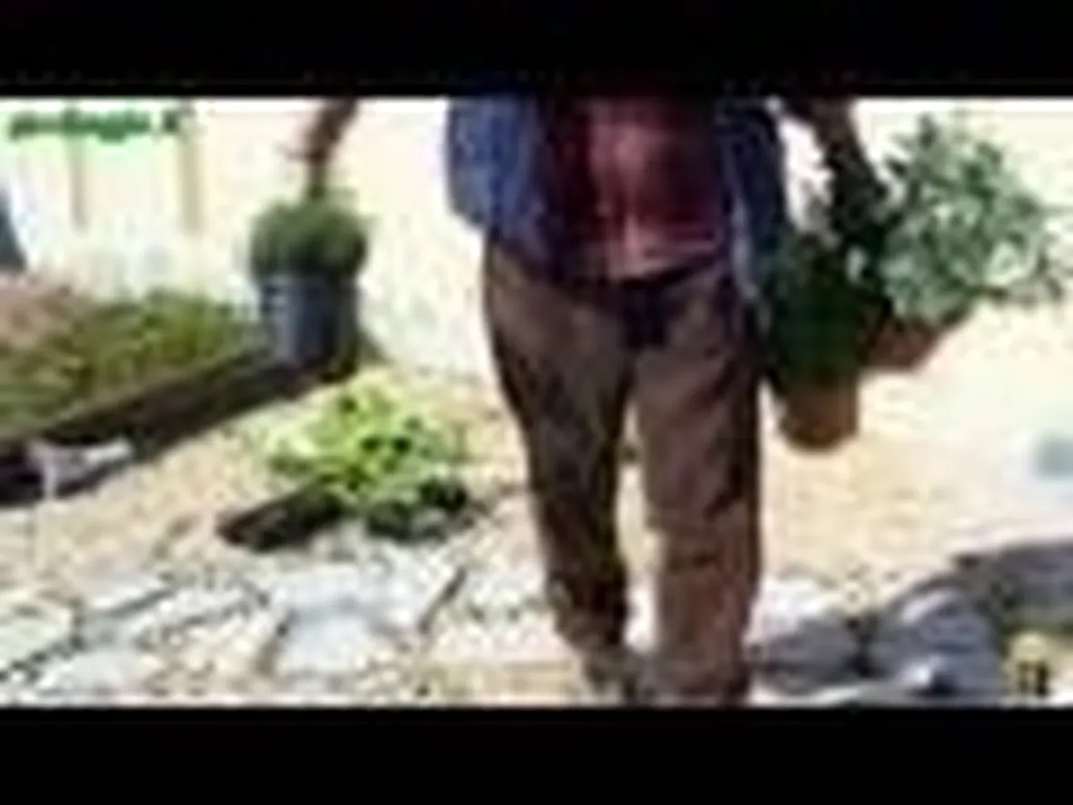 Orto in terrazzo: contenitori e riempimento