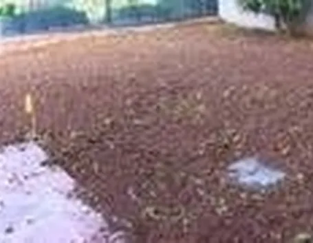 Lavorazione, sminuzzatura e livellatura del terreno tramite rastrello