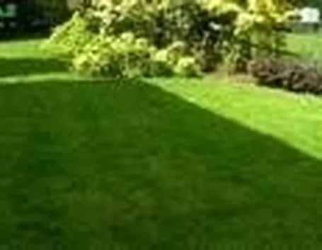 Valutazione del terreno e scelta del tipo di erba