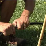 posa ala gocciolante