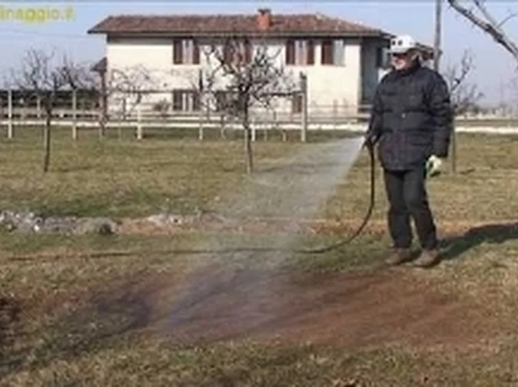 terreno per semina
