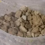 rinvaso pianta appartamento