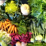 trapianto verdure invernali