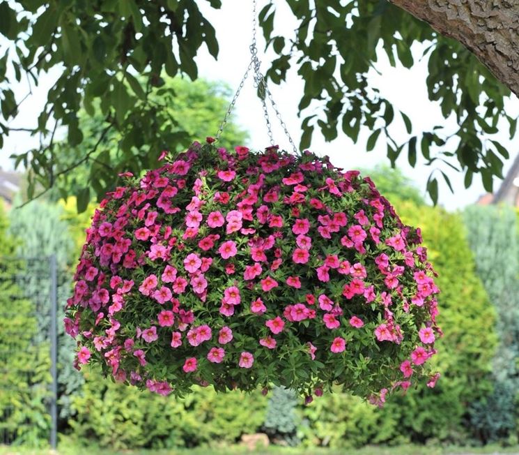 Set Di 4 Cesti Appesi Per Piante In Metallo E Cocco – Diametri Da 20 A 35 Cm, Per Esterno E Interno