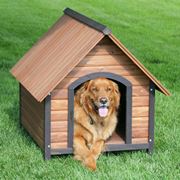 come costruire una cuccia per cani