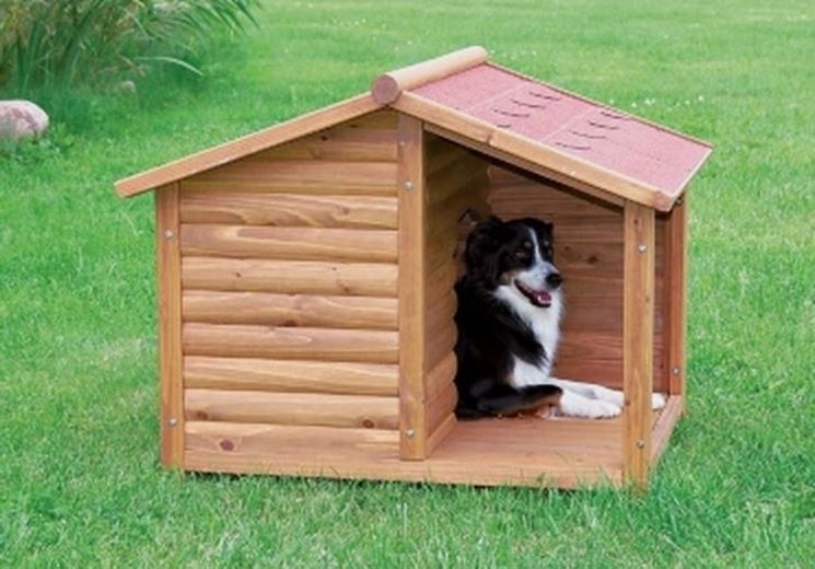 casetta in legno per cani