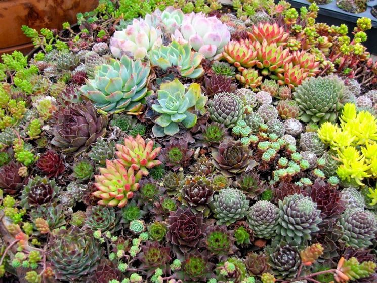 Aiuole fioriere come creare delle aiuole Creare un aiuola