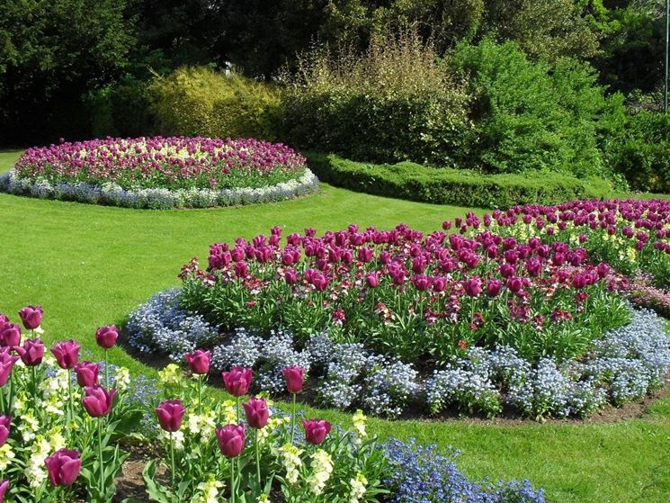 Fiori da giardino giardinaggio Piante per aiuole sempreverdi