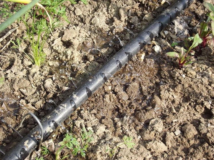 Irrigazione orto automatica Irrigazione orto automatica