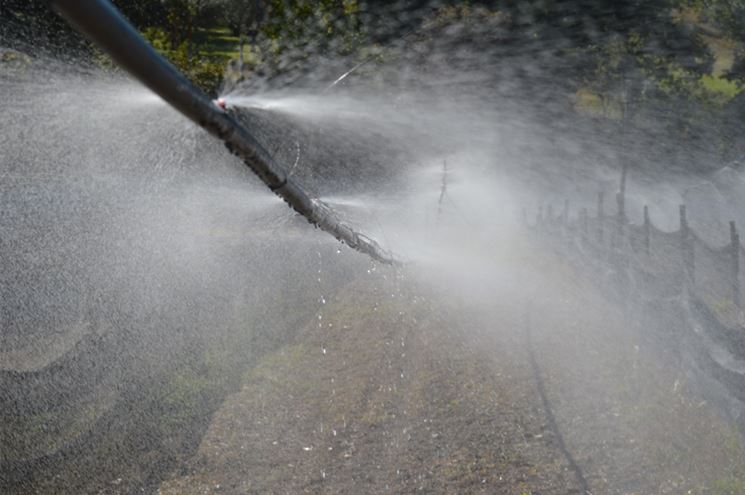 Irrigazione per nebulizzazione