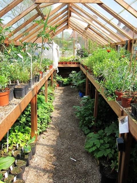 Costruire una serra pergole tettoie giardino come costruire una ... Come costruire serra