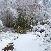 Giardini di inverno 