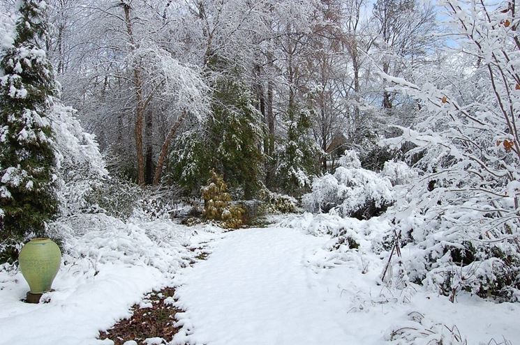 Giardini di inverno