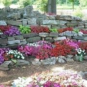 giardino di pietra