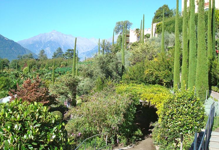 giardino mediterraneo