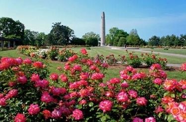 giardino di rose