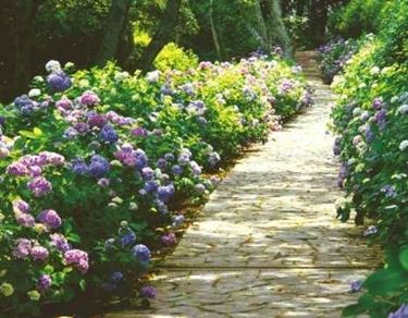 pavimenti per giardini pietre naturali