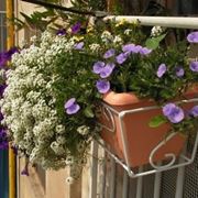 Fioriere in cemento Fioriere in cemento