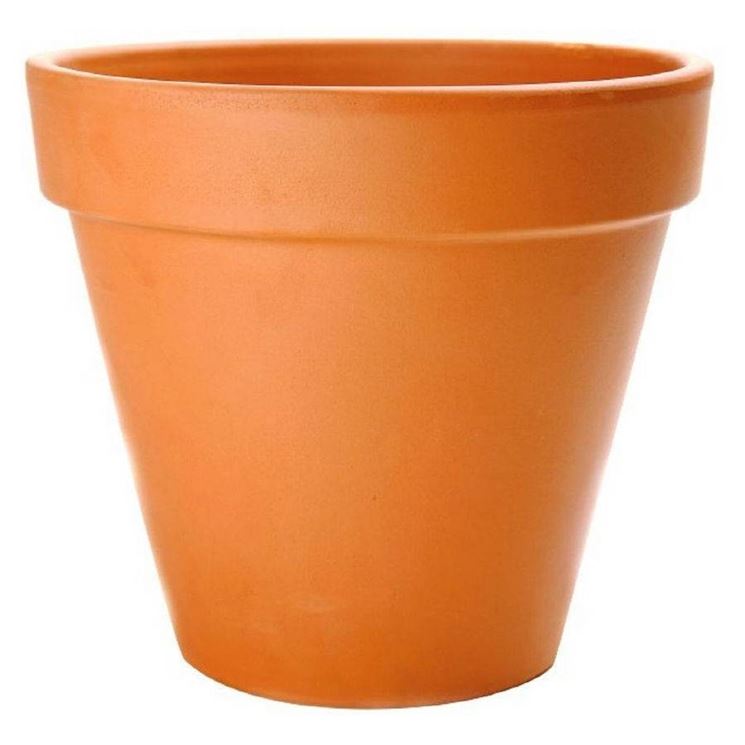 vaso piante terracotta