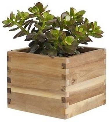vasi piante in legno