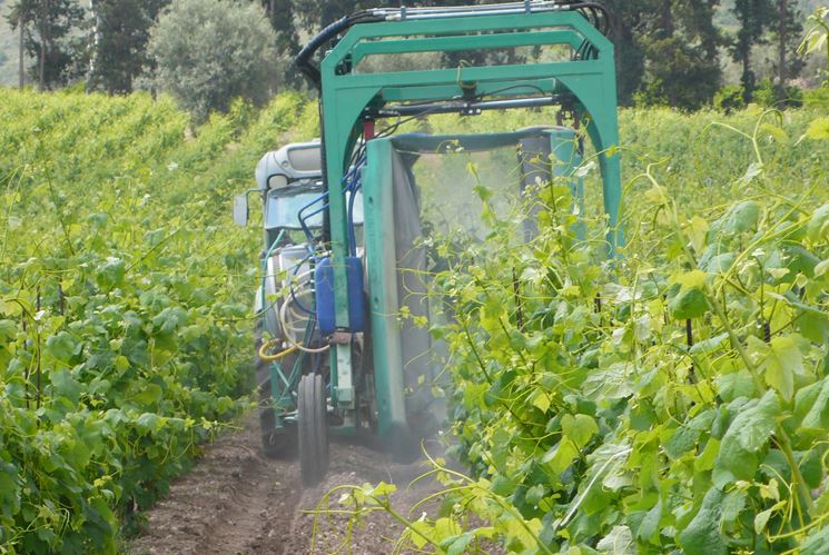 Attrezzatura per la potatura