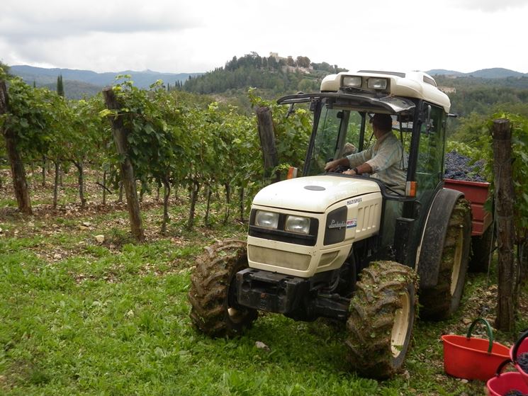 La gestione dei vigneti