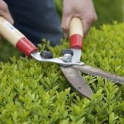 Forbice da giardinaggio manuale