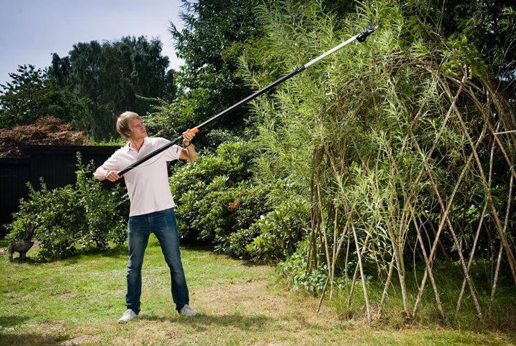 Forbice con bastone telescopico