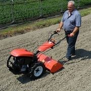 Un Goldoni al lavoro