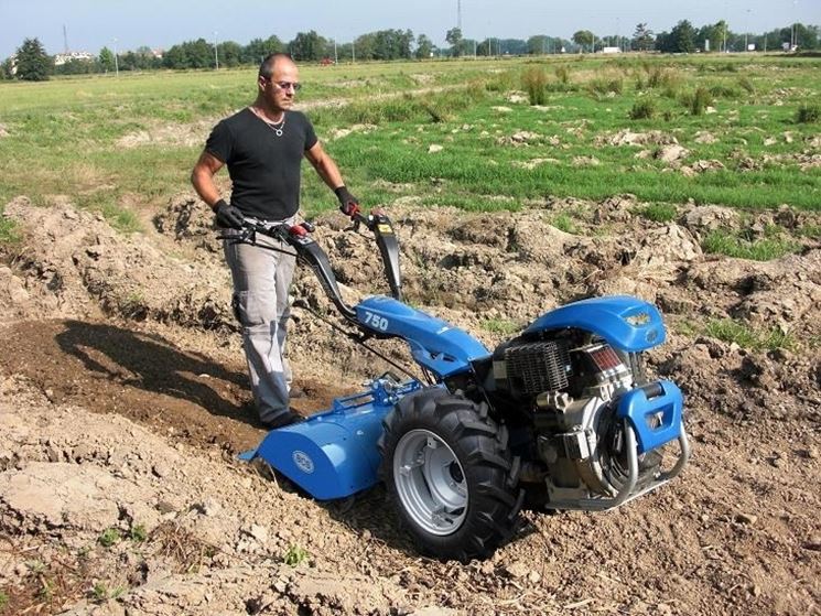 Motocoltivatore BCS al lavoro