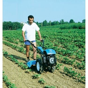 Un Bertolini al lavoro