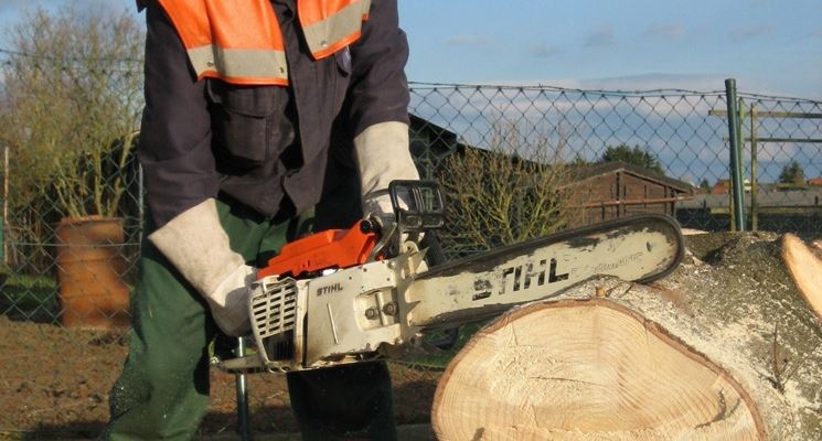 Stihl al lavoro