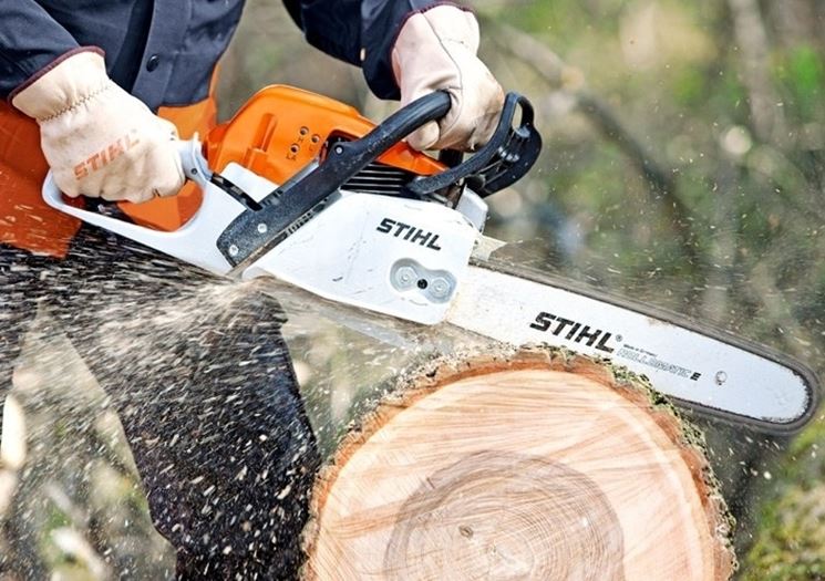 Una motosega Stihl universale