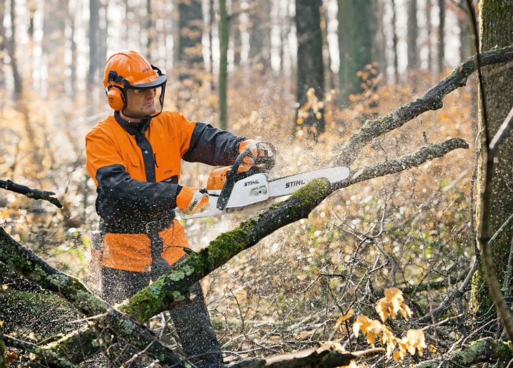 Sramatura con motosega Stihl