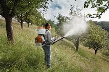 Utilizzo di un soffiatore spalleggiato Stihl