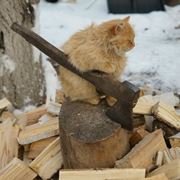 spacca la legna